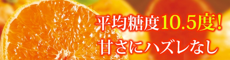 ����p�Ïn�~�J�����T�C�g